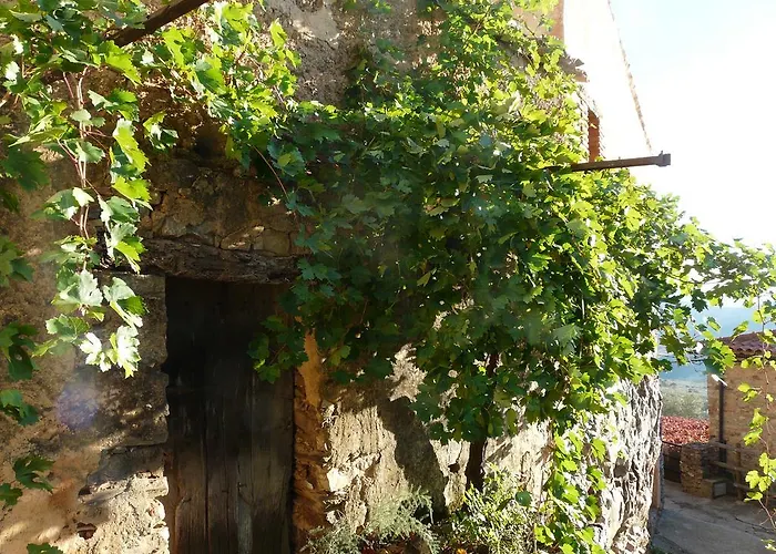 El Nido De La Collalba